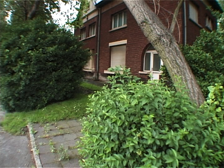 picture9web_th.jpg