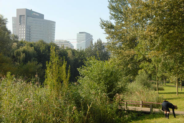 zuidas8860_th.jpg