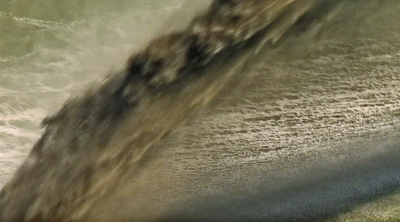 P00938_th.png