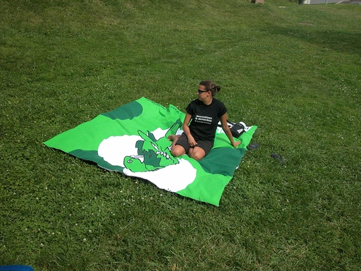 book.3230.2picnicweb.webp