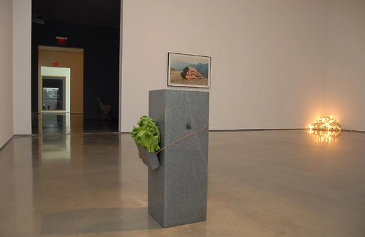 installation view